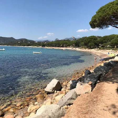 Marina Di Pinarello 종자