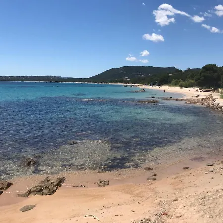 Marina Di Pinarello * 종자